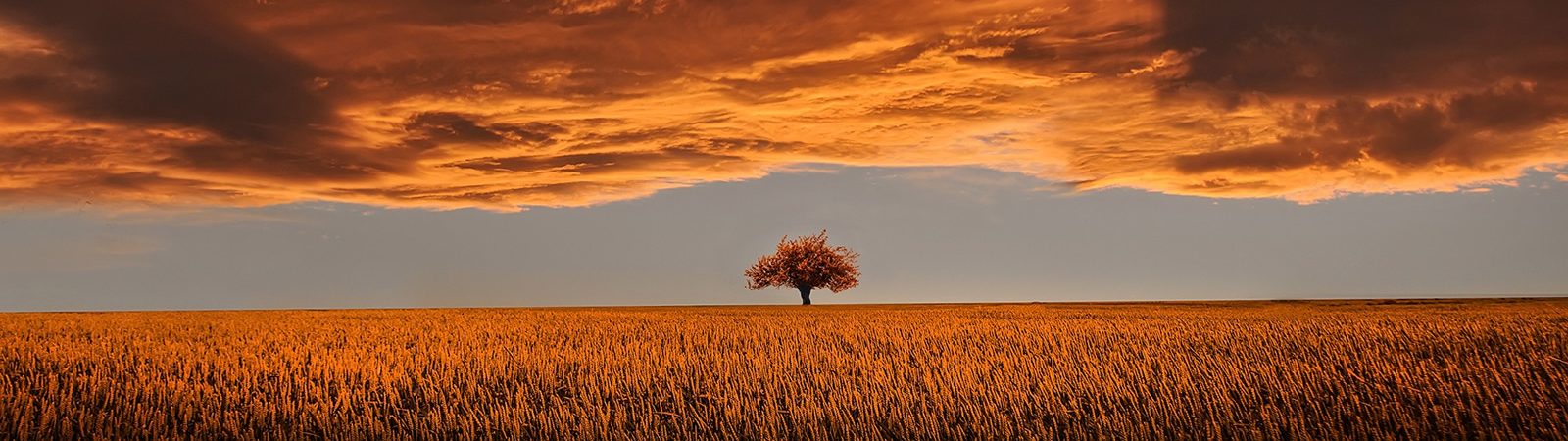 32 and sunny corporate health and wellbeing