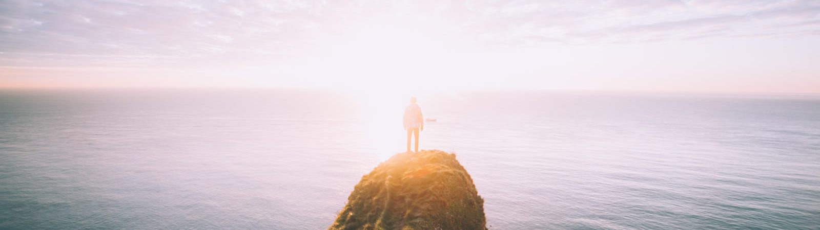 32 and sunny outplacement and career transition